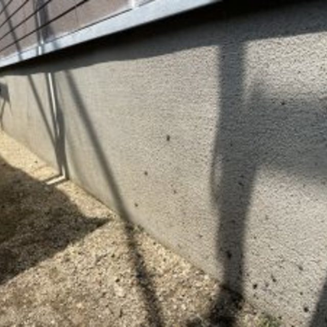 画像14