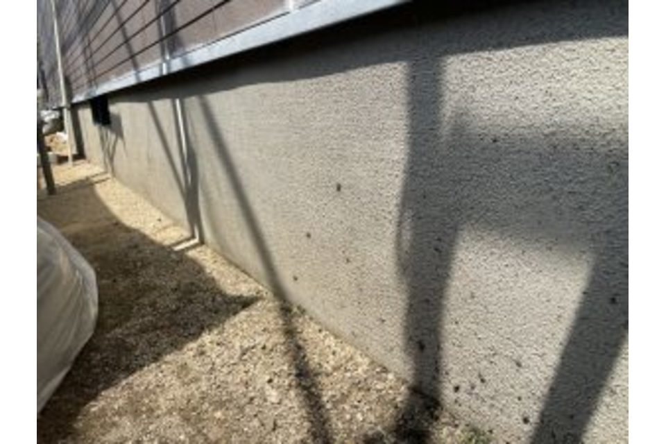 画像14