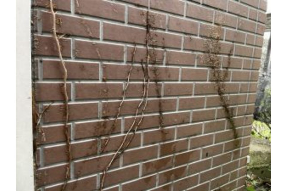 東区　中尾　T様邸　外壁　WBアート多彩仕上げ　２色　屋根　遮熱無機　塗り替え工事の画像