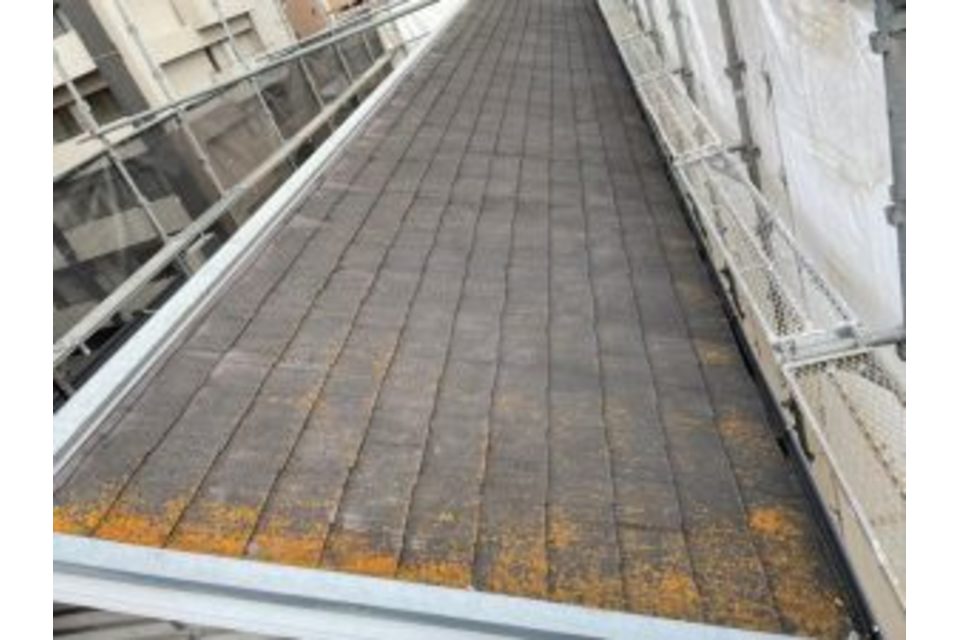 画像06