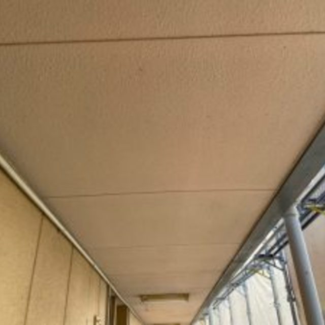 画像12
