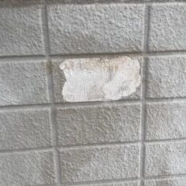 画像18