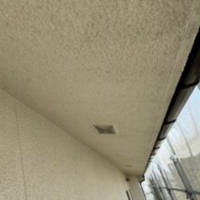 画像12