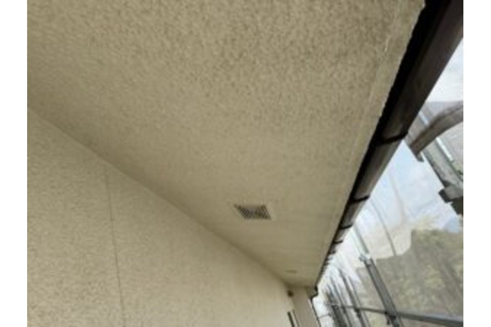 画像12