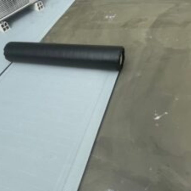 画像12