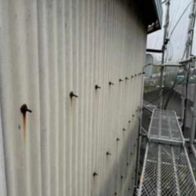 画像12