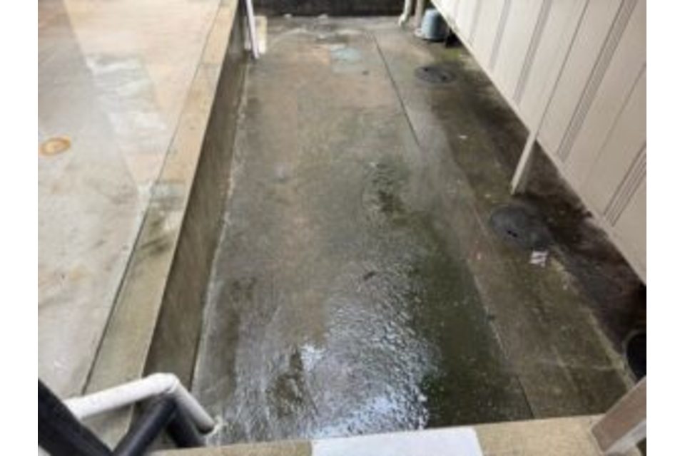 画像12