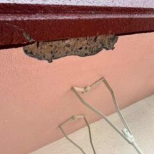 欠損部 復元 ビフォー