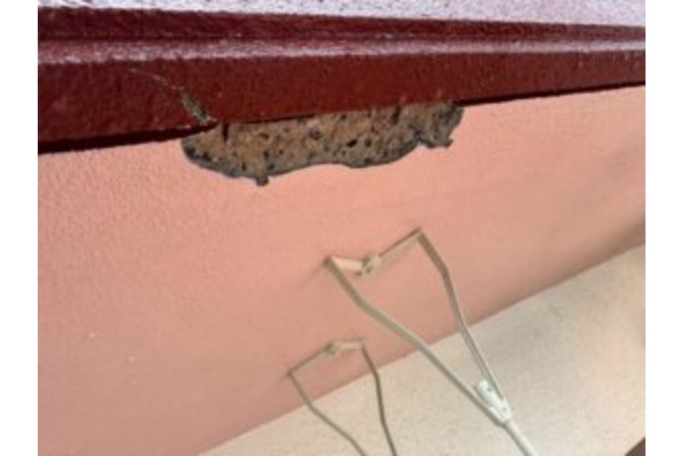 欠損部 復元 ビフォー